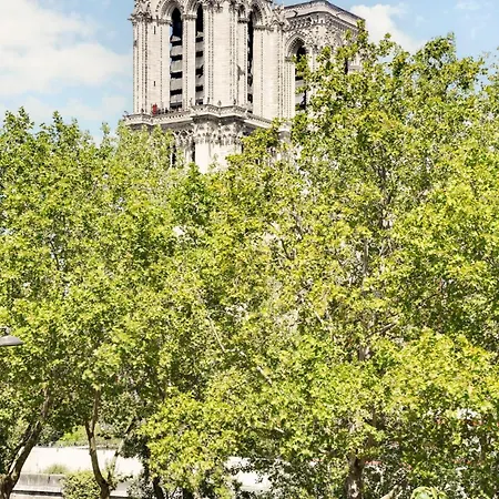 Murmures Notre-dame Paris